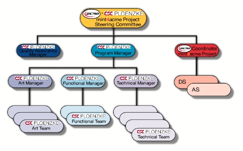 Project Team Organization Chart